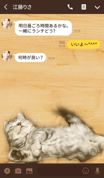 [LINE着せ替え] 木目と子猫の画像3