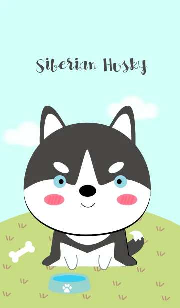 [LINE着せ替え] Cute Siberian Husky Dog Theme(jp)の画像1