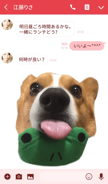 [LINE着せ替え] リアルDOG コーギー武蔵の画像3