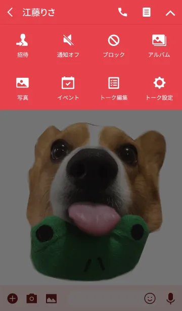 [LINE着せ替え] リアルDOG コーギー武蔵の画像4