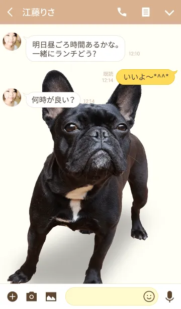 [LINE着せ替え] フレンチブルドッグ大好き着せ替えの画像3