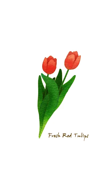 [LINE着せ替え] Fresh Red Tulipsの画像1