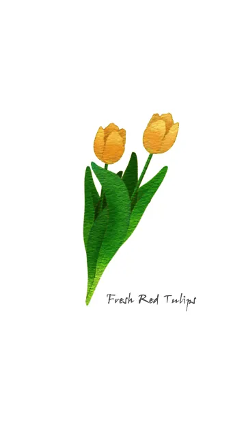 [LINE着せ替え] Fresh Yellow Tulipsの画像1