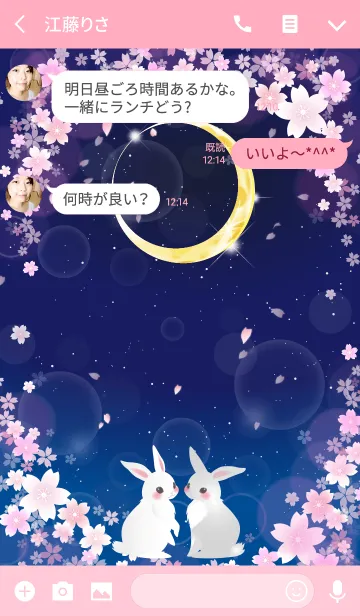 [LINE着せ替え] 双子兎と夜桜の画像3