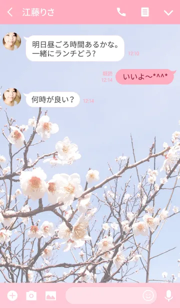 [LINE着せ替え] 白梅と春の空の画像3