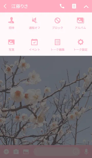 [LINE着せ替え] 白梅と春の空の画像4