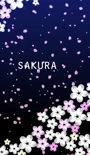 [LINE着せ替え] Beautiful SAKURA8 夜桜の画像1