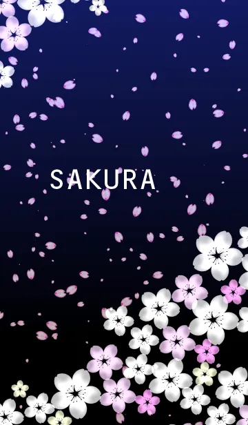 Beautiful SAKURA8 夜桜の着せ替えメイン画像