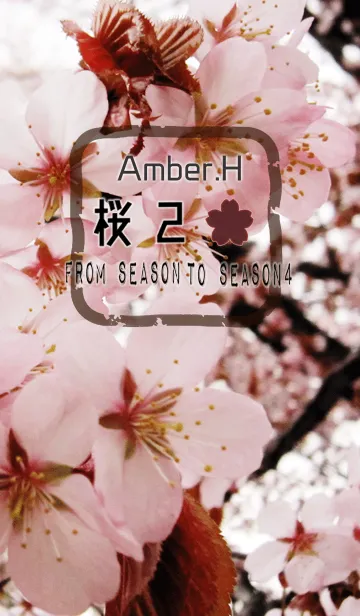 [LINE着せ替え] 桜2 -From season to season4-の画像1
