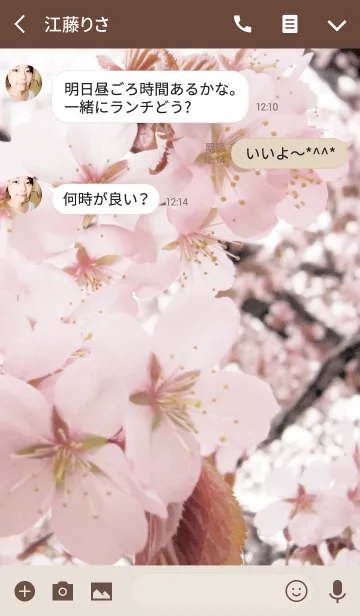 [LINE着せ替え] 桜2 -From season to season4-の画像3