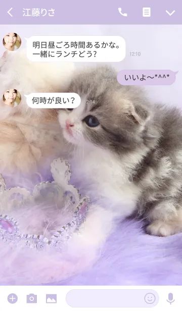 [LINE着せ替え] きらきらスコテッシュの画像3