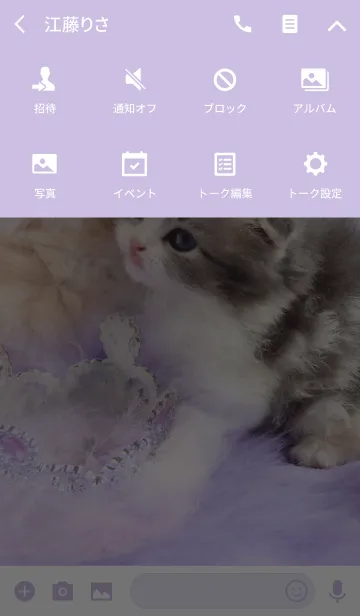 [LINE着せ替え] きらきらスコテッシュの画像4