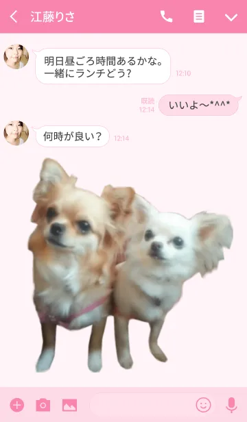 [LINE着せ替え] リアルDOG お茶目な乃愛＆フレッシュの画像3