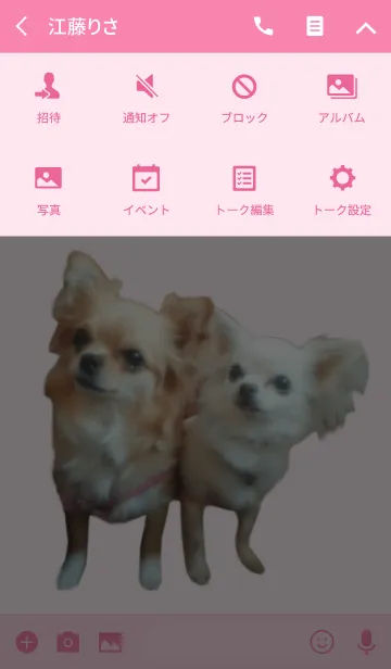 [LINE着せ替え] リアルDOG お茶目な乃愛＆フレッシュの画像4
