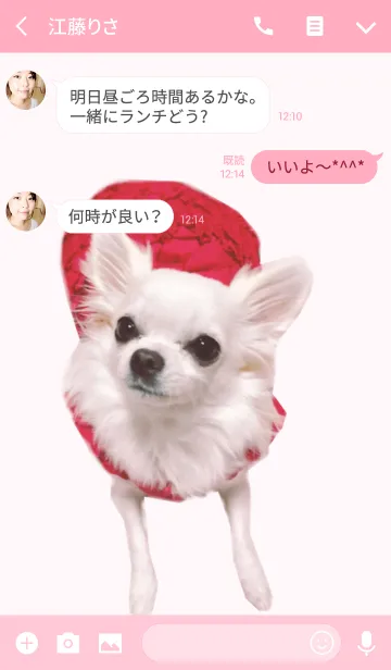 [LINE着せ替え] リアルDOG 白チワワ やんちゃ姫〜菜々〜の画像3