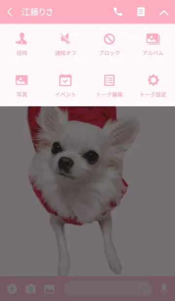 [LINE着せ替え] リアルDOG 白チワワ やんちゃ姫〜菜々〜の画像4