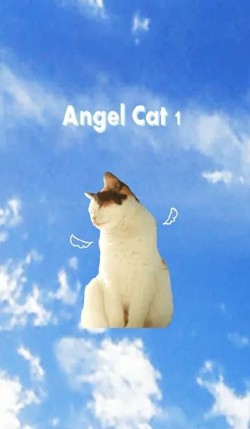 [LINE着せ替え] Angel Cat 1の画像1