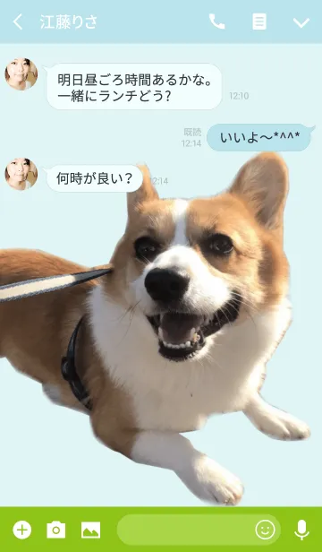 [LINE着せ替え] リアルDOG コーギーMUGIの画像3