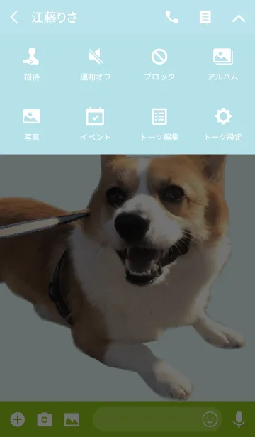 [LINE着せ替え] リアルDOG コーギーMUGIの画像4