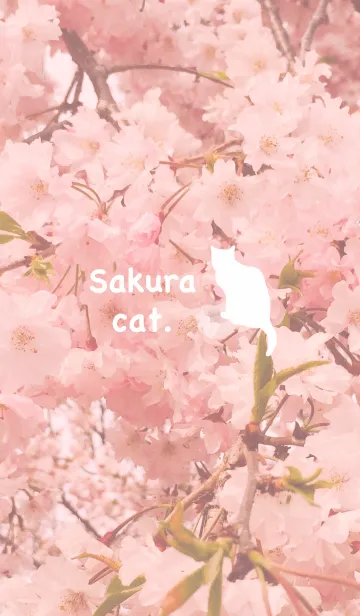 [LINE着せ替え] ＊Sakura cat＊の画像1