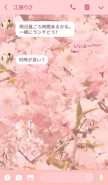 [LINE着せ替え] ＊Sakura cat＊の画像3