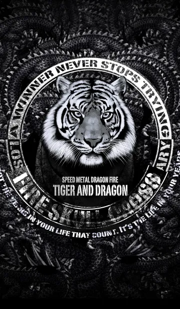 [LINE着せ替え] タイガー・アンド・ドラゴンの画像1