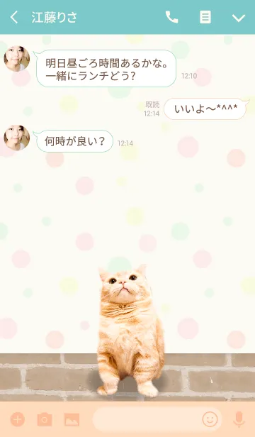 [LINE着せ替え] マンチカンの「ぷー」の画像3