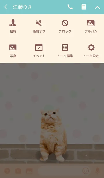 [LINE着せ替え] マンチカンの「ぷー」の画像4