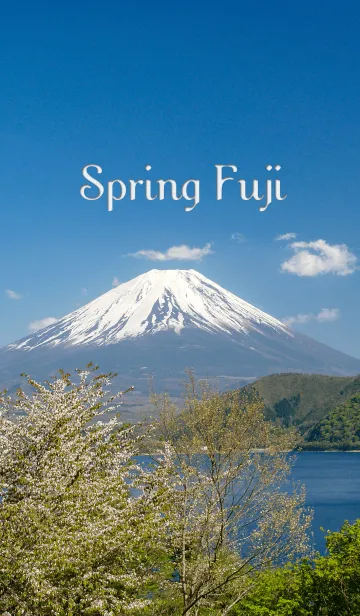 [LINE着せ替え] 春の富士の画像1