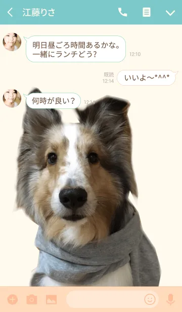 [LINE着せ替え] リアルDOG シェルティ-JOY-の画像3