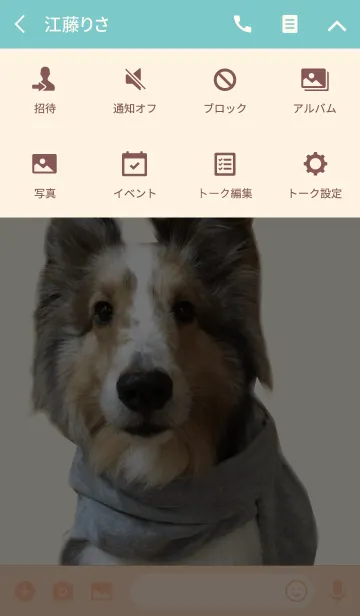 [LINE着せ替え] リアルDOG シェルティ-JOY-の画像4