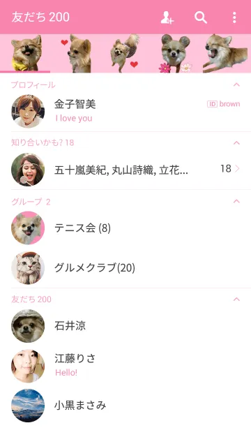 [LINE着せ替え] リアルDOG チワワ❤️ぴのたんの画像2