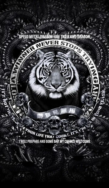 [LINE着せ替え] タイガー＆ドラゴン 3の画像1