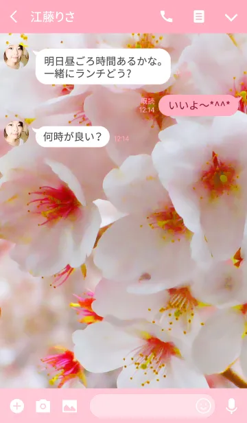 [LINE着せ替え] 桜 〜サクラサクの画像3