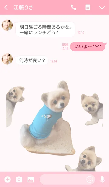 [LINE着せ替え] かわいいポメラニアンしんちゃん6の画像3