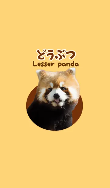 [LINE着せ替え] どうぶつ Lesser pandaの画像1