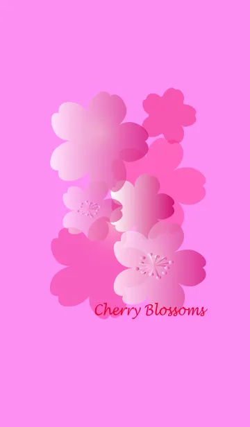 [LINE着せ替え] Pretty cherry Blossomsの画像1