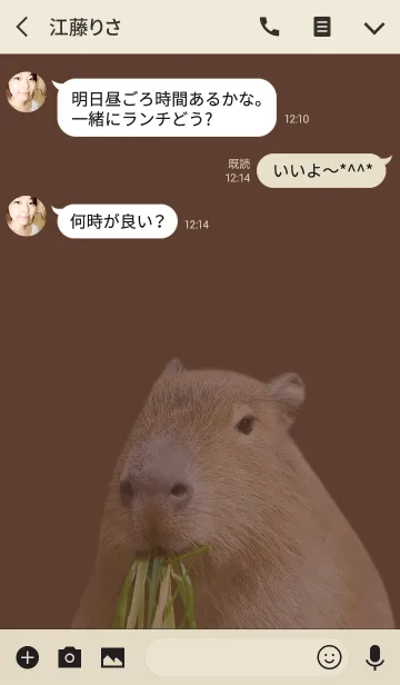 [LINE着せ替え] どうぶつ Capybaraの画像3
