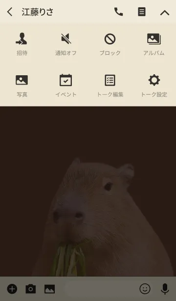[LINE着せ替え] どうぶつ Capybaraの画像4