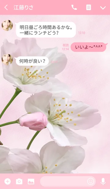 [LINE着せ替え] Sakura ~Pink coloring photograph~の画像3
