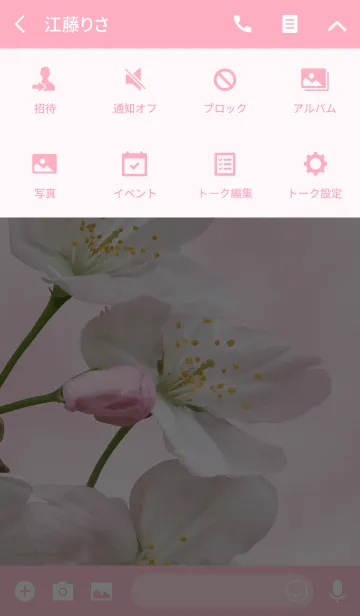 [LINE着せ替え] Sakura ~Pink coloring photograph~の画像4