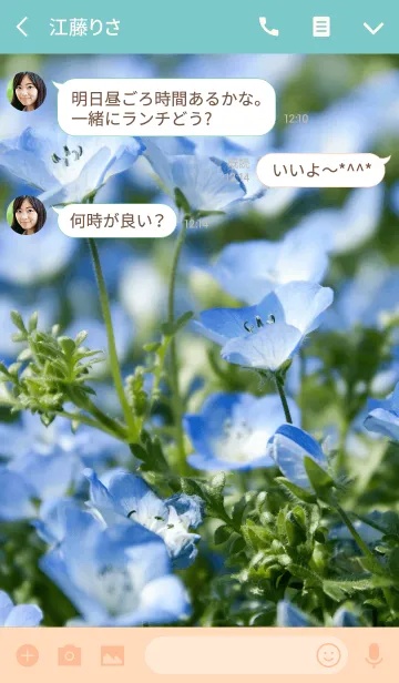 [LINE着せ替え] ネモフィラ メンジェシー ver.2の画像3