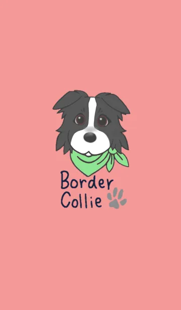 [LINE着せ替え] ボーダーコリーイラストきせかえの画像1