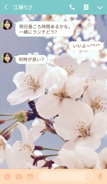 [LINE着せ替え] SAKURA-cherry blossoms-の画像3