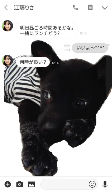 [LINE着せ替え] 小さな黒犬わんこの写真きせかえの画像3