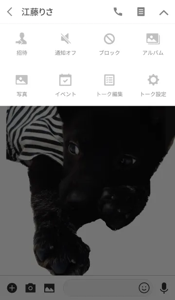 [LINE着せ替え] 小さな黒犬わんこの写真きせかえの画像4