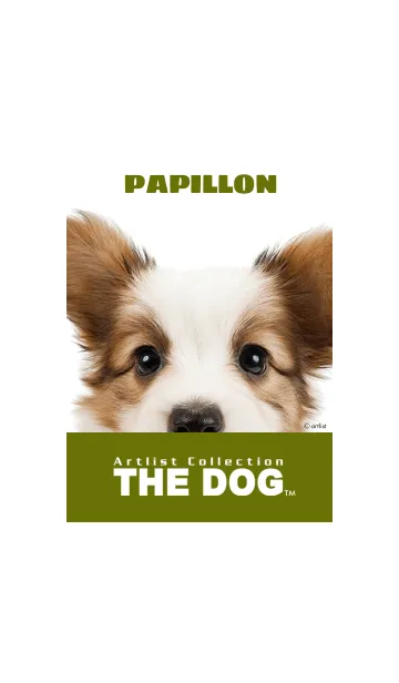 [LINE着せ替え] THE DOG パピヨン 2の画像1