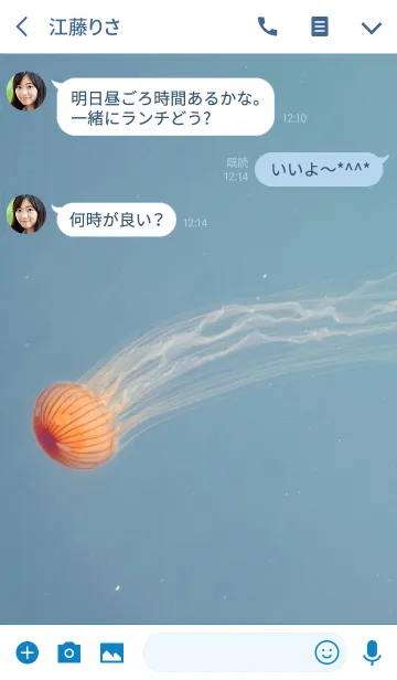 [LINE着せ替え] アカクラゲの画像3