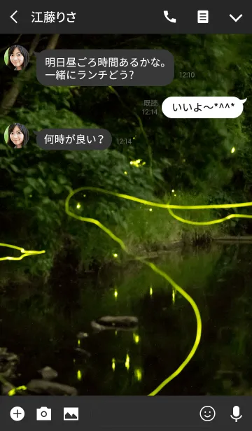 [LINE着せ替え] ほたるの光2 ver.2の画像3