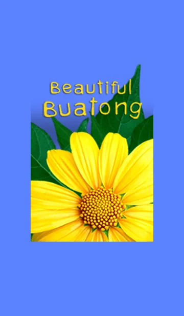 [LINE着せ替え] Beautiful Buatong blossom in my garden.の画像1